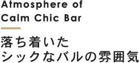 シックなバルの雰囲気